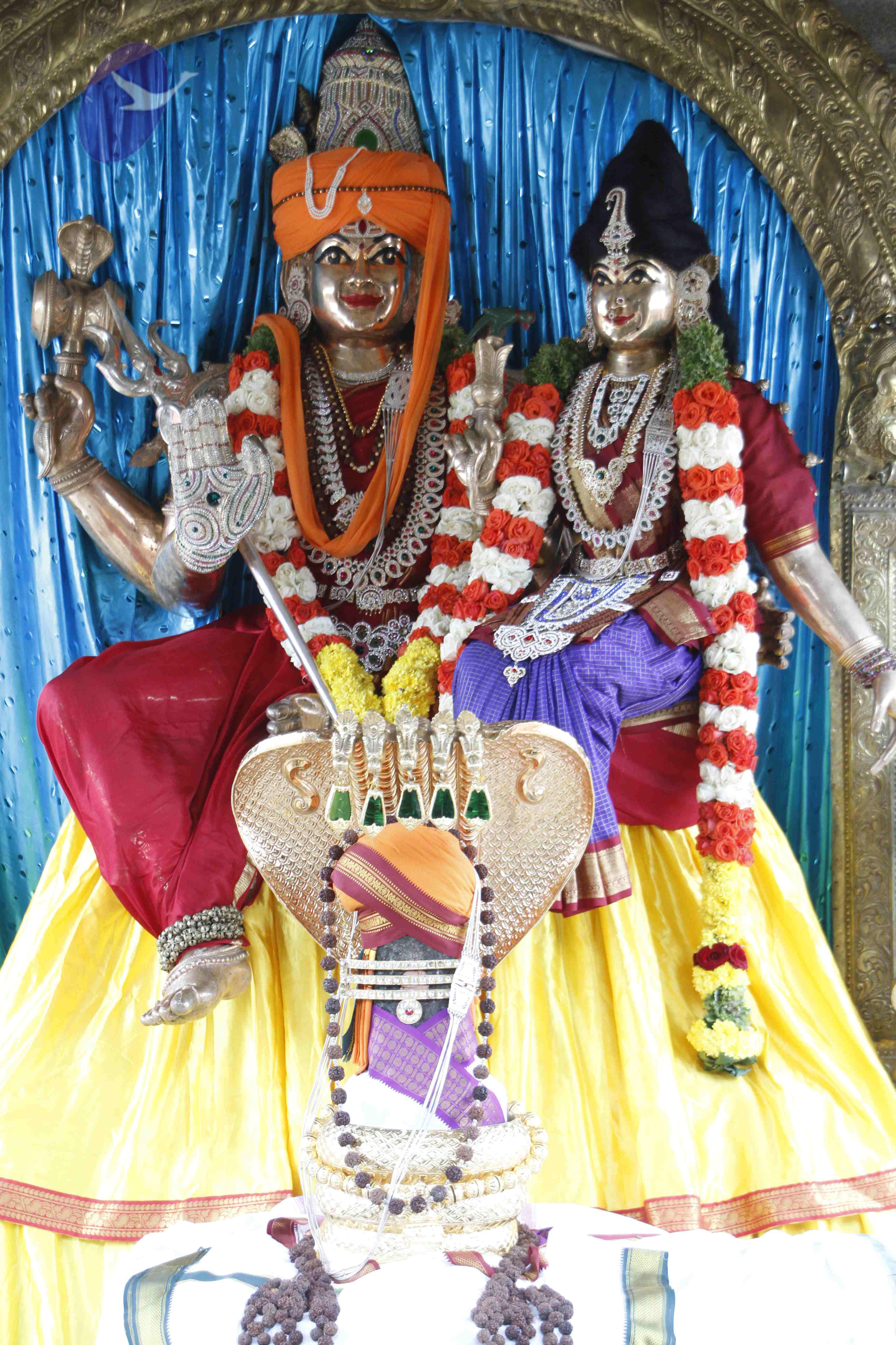 20110803_Photo_1024__MG_8964_CMP_WM